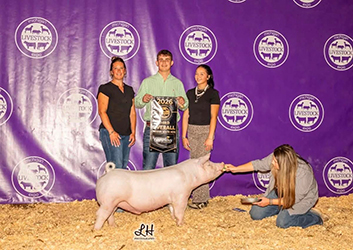 3rd overall Chester market hog
2026 mle