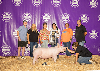 3rd overall Yorkshire market hog
2026 mle