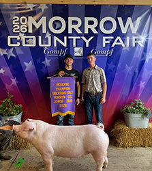 Reserve Grand Gilt, Morrow County Fair