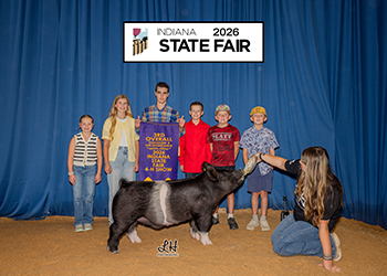 3RD OVERALL DIVISION 2 DARK CROSSBRED BARROW
IN STATE FAIR