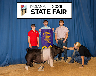 3RD OVERALL DIVISION 3 CROSSBRED GILT
2026 IN STATE FAIR