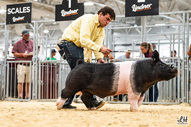 CLASS WINNING CROSSBRED BARROW
2026 IN STATE FAIR