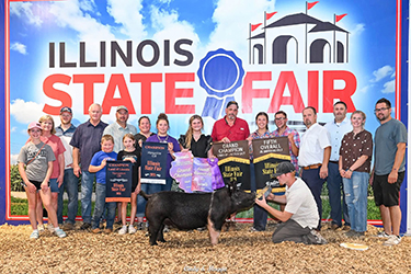 5TH OVERALL GILT & CHAMPION HAMPSHIRE
2026 IL STATE FAIR
