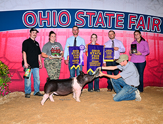 GRAND CHAMPION PROSPECT GILT
2026 OH STATE FAIR