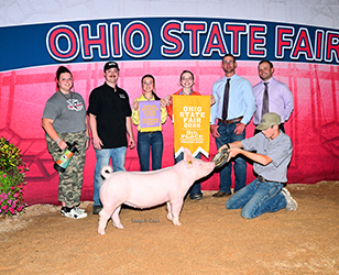 5TH OVERALL PROSPECT GILT & RESERVE PUREBRED
2026 OH STATE FAIR