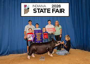 CHAMPION BERKSHIRE GILT
2026 IN STATE FAIR