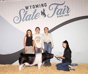 RESERVE LIGHTWEIGHT CROSSBRED MARKET HOG
2026 WY STATE FAIR