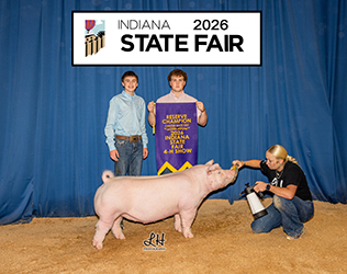 RESERVE CHESTER GILT
2026 IN STATE FAIR