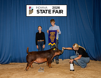 3RD OVERALL DIV 1 DUROC GILT
2026 IN STATE FAIR