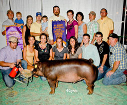 Platt Show Pigs Winner