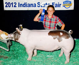 Platt Show Pigs Winner
