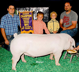 Platt 2013 Winner