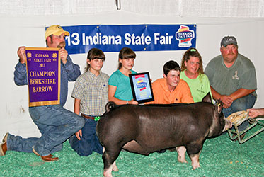 Platt Show Pigs Winners