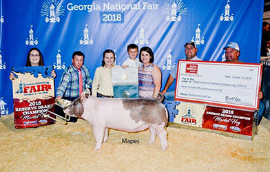 Platt Showpigs Winners
