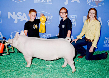 Platt WPX Winners