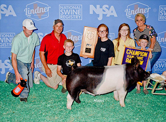 Platt WPX Winners