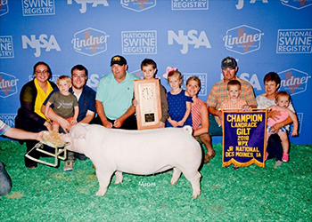 Platt WPX Winners