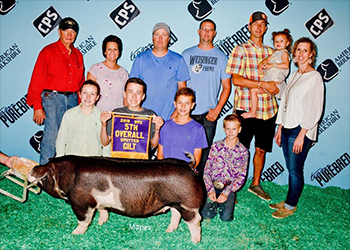 Platt WPX Winners
