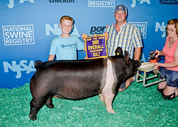 Platt Showpigs Winners