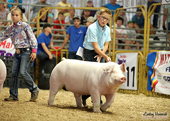Platt Showpigs Winners