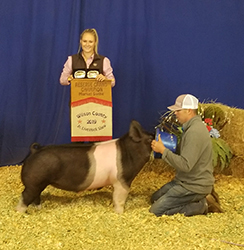 Platt Showpigs Winners