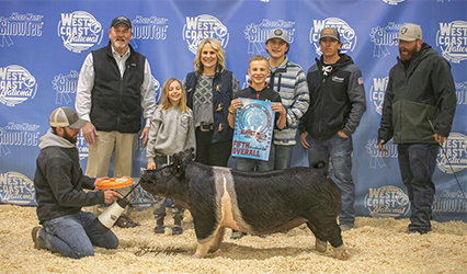 Platt Showpig Winners