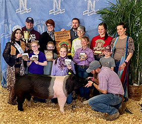 Platt Showpig Winners