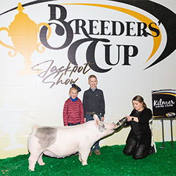 Platt Showpig Winners