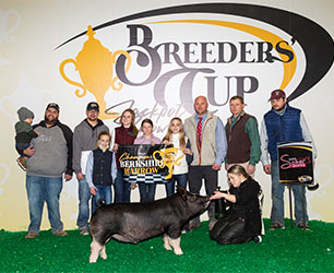 Platt Showpig Winners