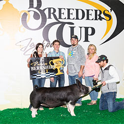 Platt Showpig Winners