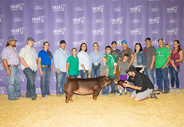 Platt Showpigs Winners- 4th Duroc Gilt Tulsa