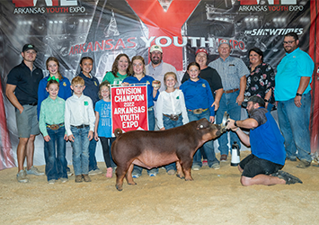 Platt Showpigs Winners - Champion Duroc MArket Hog - AYE