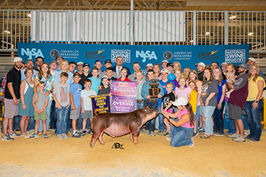 Platt Expo Winners