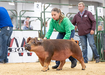 Platt Expo Winners