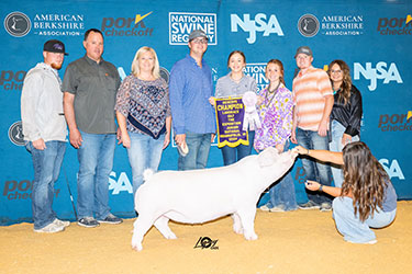 Platt Expo Winners