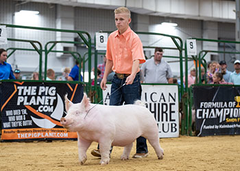 Platt Expo Winners