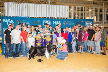 Platt Expo Winners