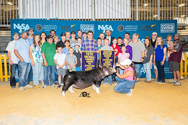 Platt Expo Winners