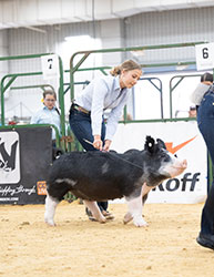 Platt Expo Winners
