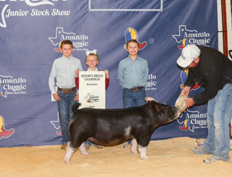 Reserve Berkshire Market Hog
2025 Amarillo Classic
