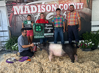 Reserve Grand Gilt 2025 Madison County-IL