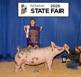 RESERVE LIGHT CROSSBRED GILT
2025 IN STATE FAIR