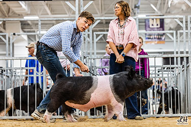 CLASS WINNING CROSSBRED BARROW
2025 IN STATE FAIR