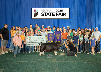 RESERVE GRAND GILT & CHAMPION BERKSHIRE
2025 IN STATE FAIR