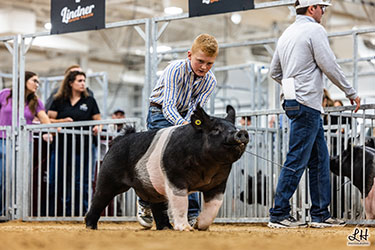 CLASS WINNING CROSSBRED GILT
2025 IN STATE FAIR