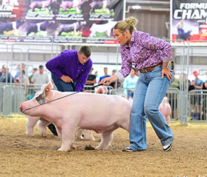 5TH OVERALL DIVISION 2 LIGHT CROSSBRED BARROW
2025 OHIO STATE FAIR