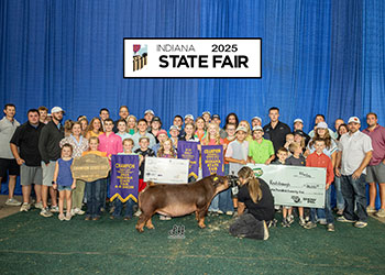 3RD OVERALL GILT & CHAMPION DUROC
2025 IN STATE FAIR