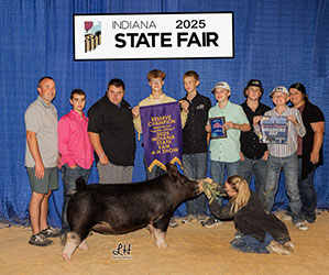RESERVE BERKSHIRE GILT
2025 IN STATE FAIR