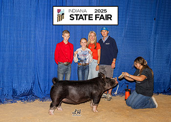 3RD OVERALL DIVISION 2 BERKSHIRE GILT
2025 IN STATE FAIR