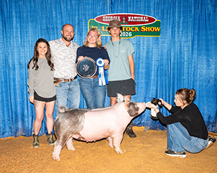 Champion light crossbred market gilt
2026 GA National